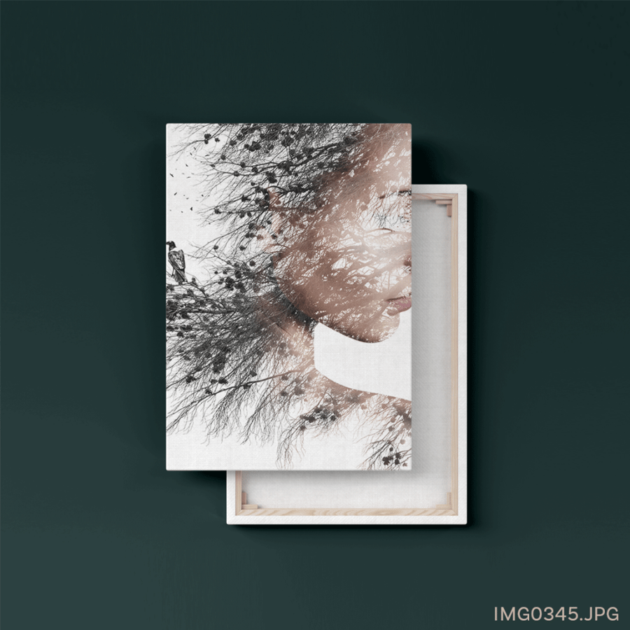 أغصان - (T-IMG0345)
