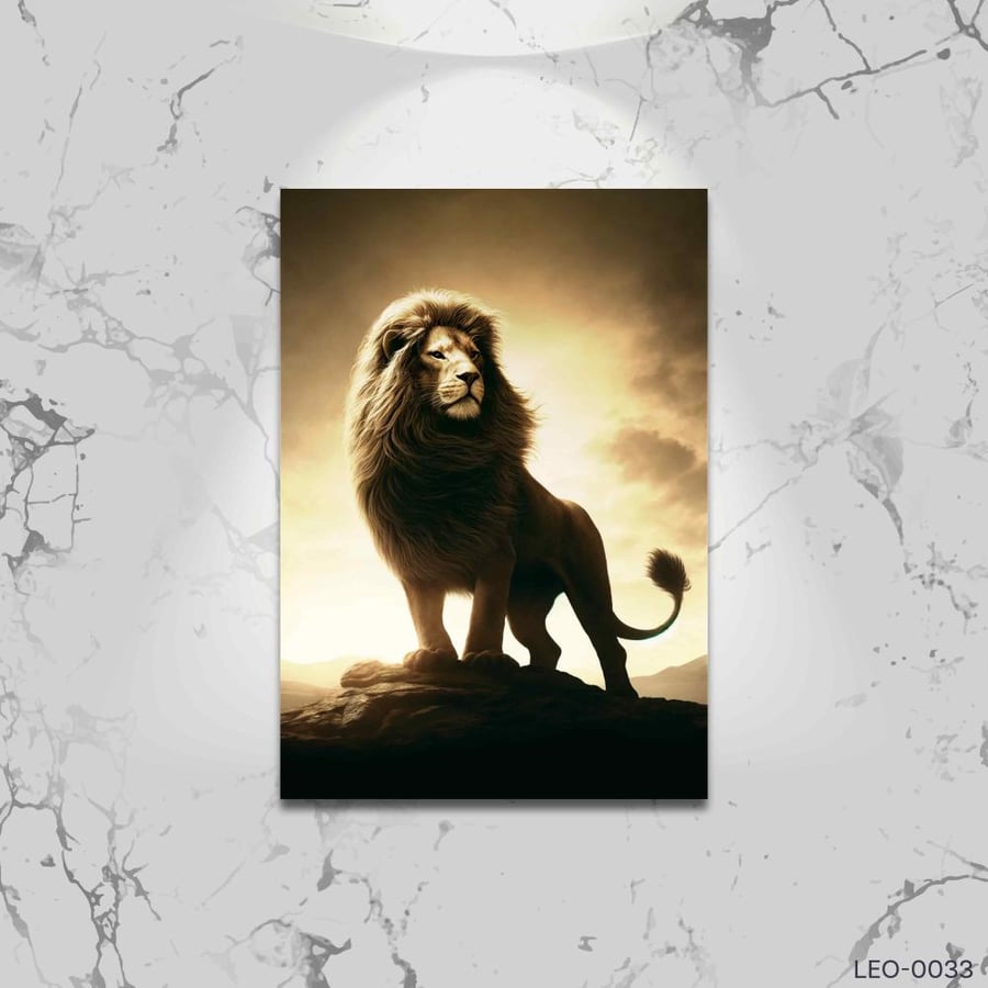 King of steadiness
