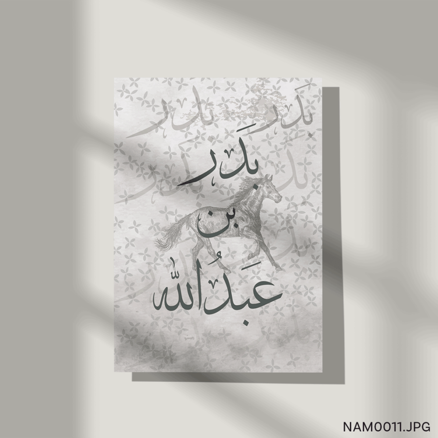 بدر بن عبدالله - (T-NAM0011)