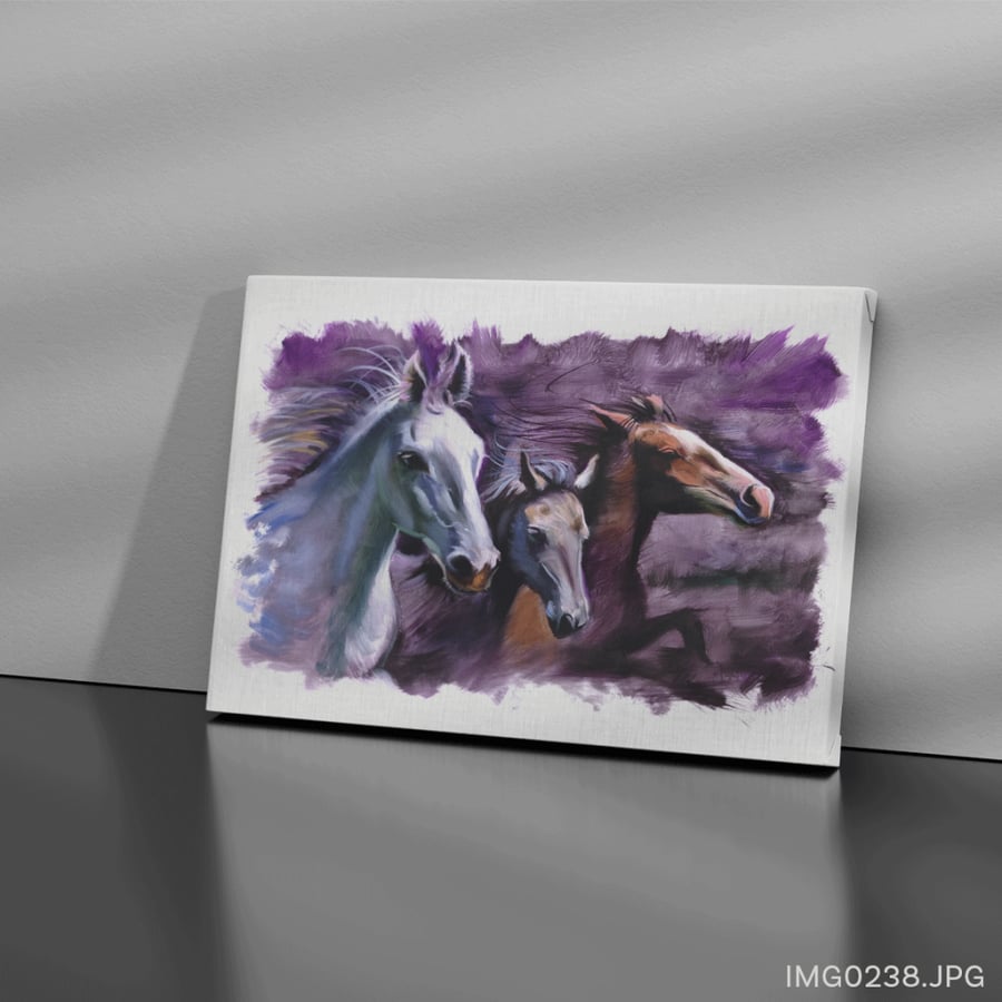 الهمام - (W-IMG0238)