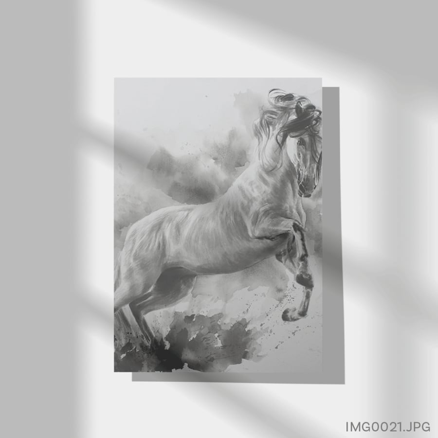 الأغر - (T-IMG0021)