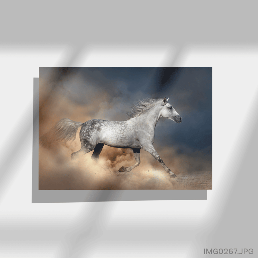 الجموح - (W-IMG0267)