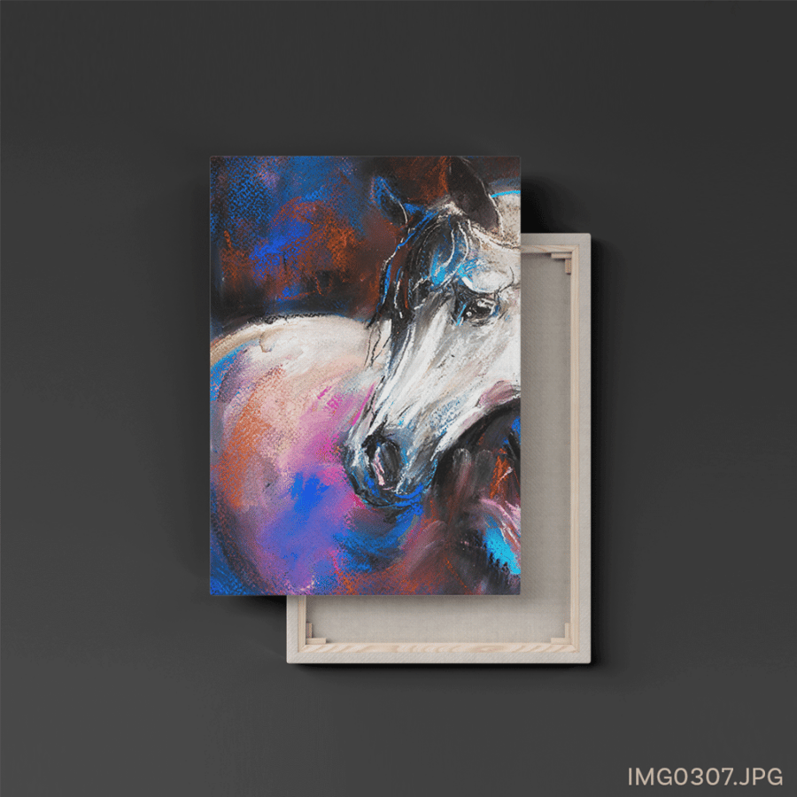 خيل - (T-IMG0307)