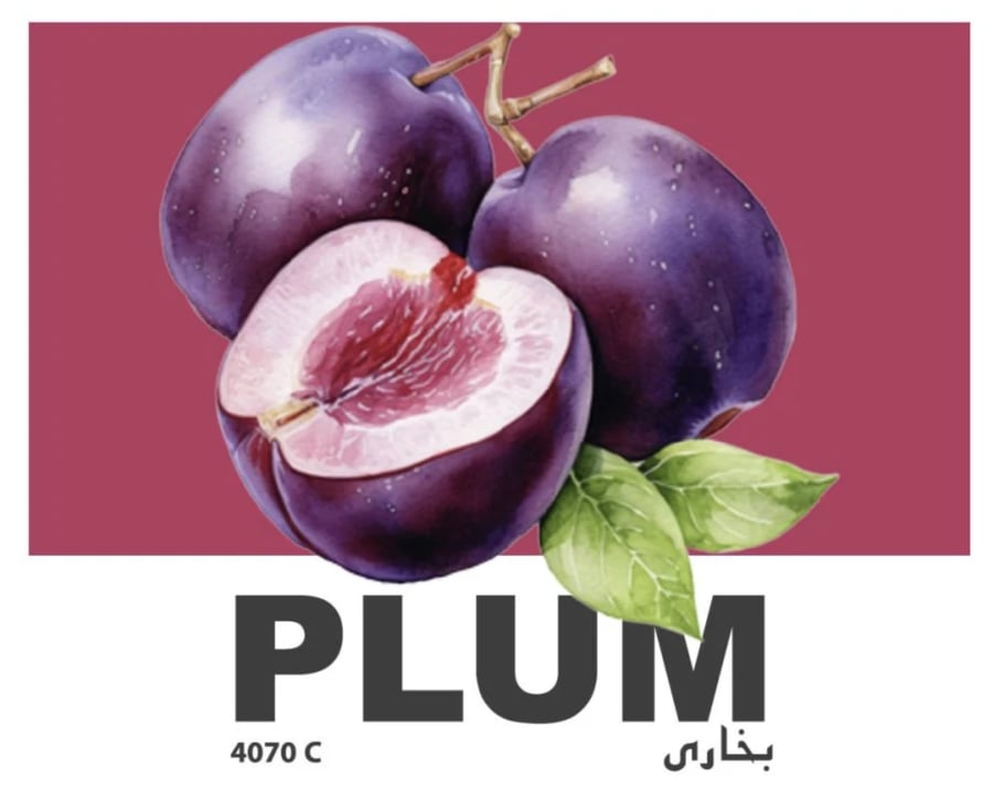 بخارى قهوة مختصة مميزة و فاخرة - 120 ج