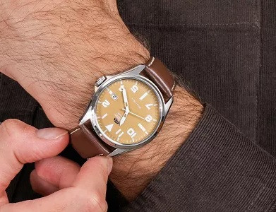 Orient Man Watch FER2D00AN0 Automatic Brown Leather