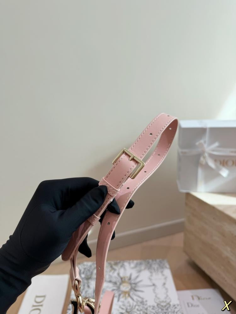 شنطة ديور ديورامور سادل | Dioramour Saddle
