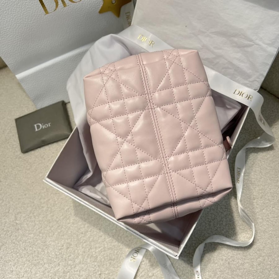 Dior Toujors Bag mini