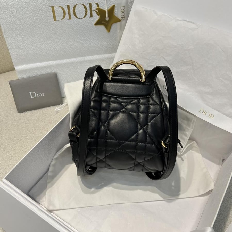Dior Caro Backpack Small