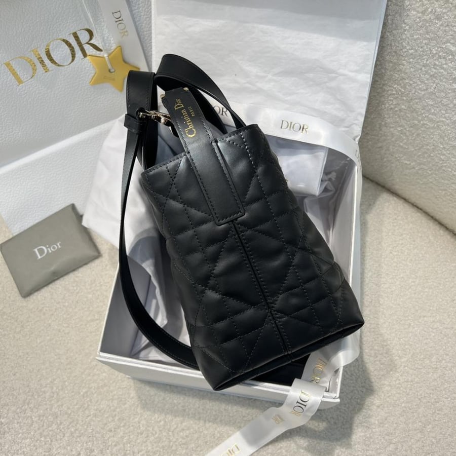 Dior Toujors Bag mini