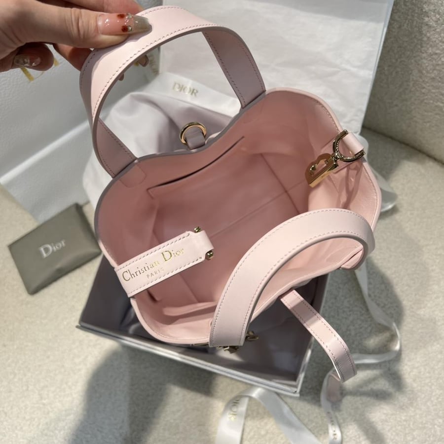 Dior Toujors Bag mini