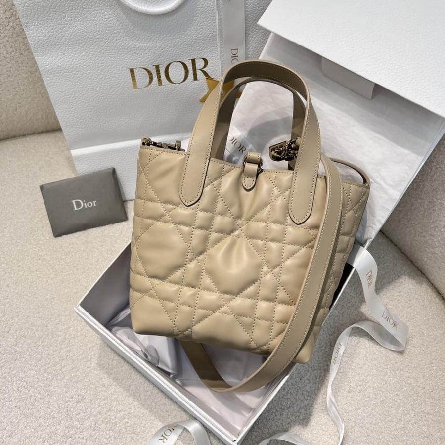 Dior Toujors Bag mini