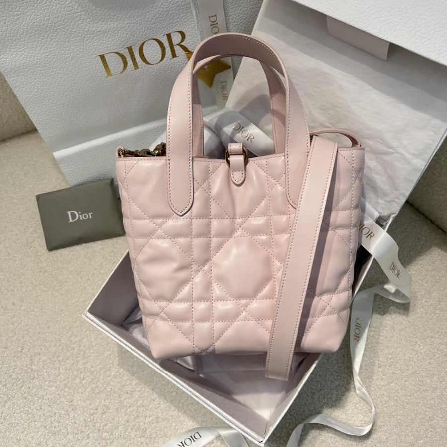Dior Toujors Bag mini