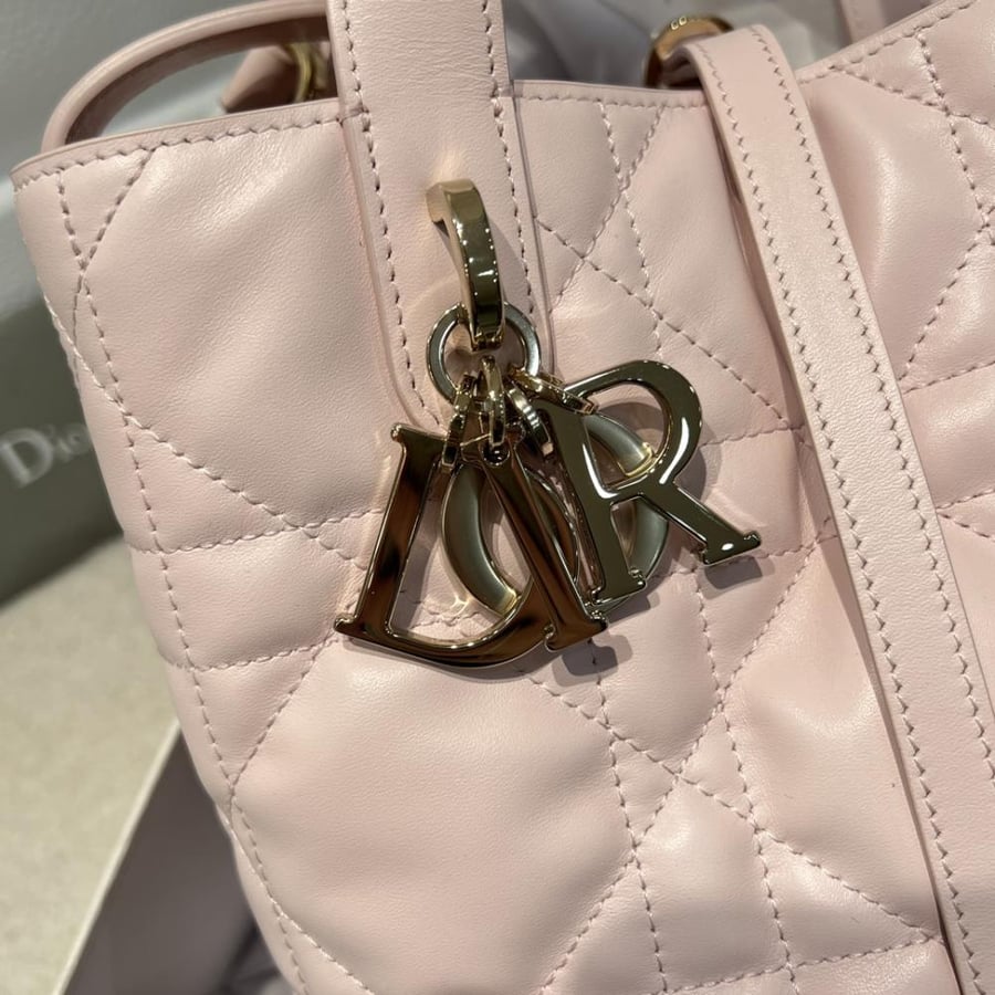 Dior Toujors Bag mini
