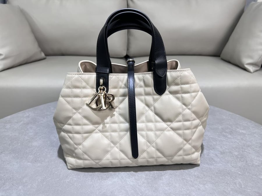 Dior Toujors Bag Small