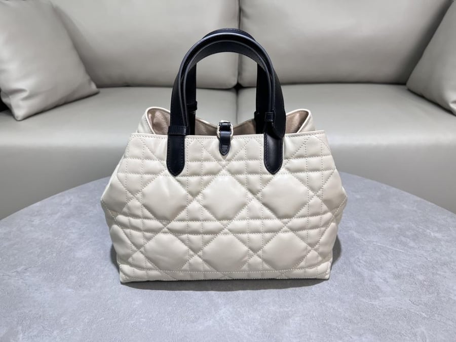 Dior Toujors Bag Small