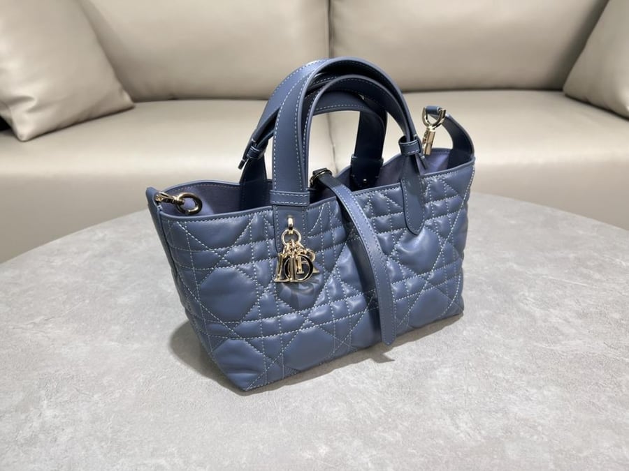 Dior Toujors Bag Small