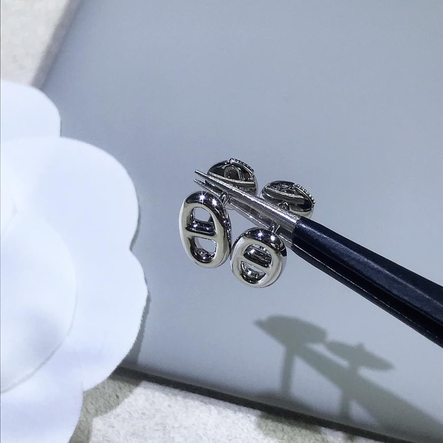 أقراط أذن (Hermès)
