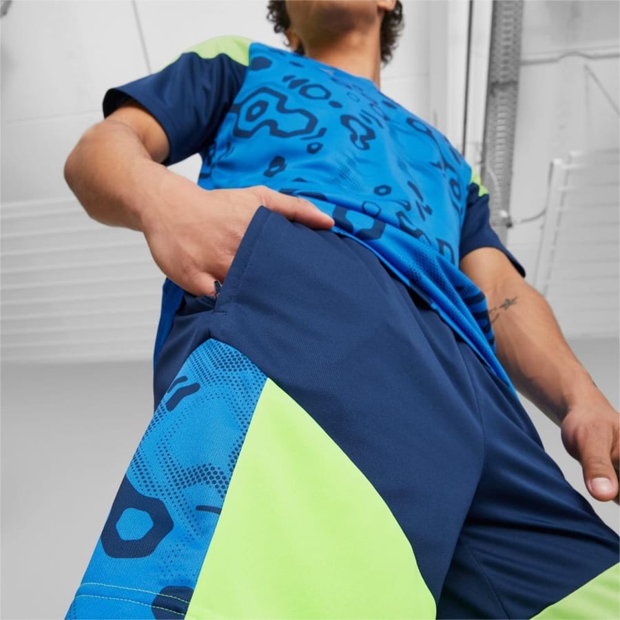Puma set blue wire