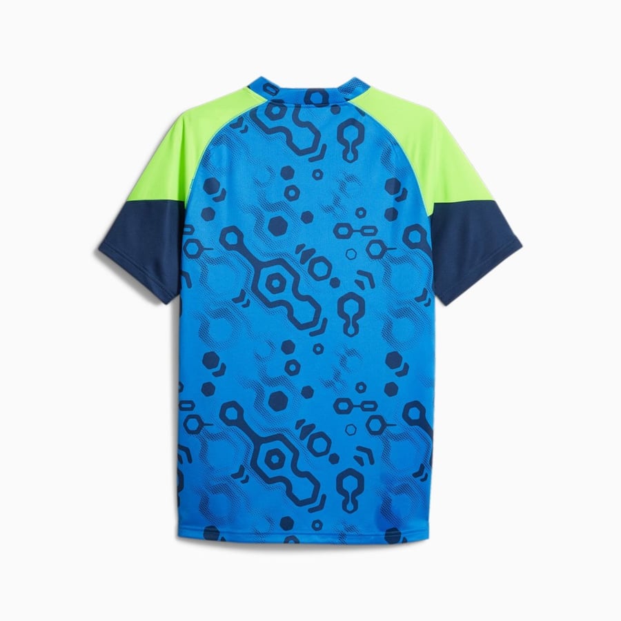 Puma set blue wire