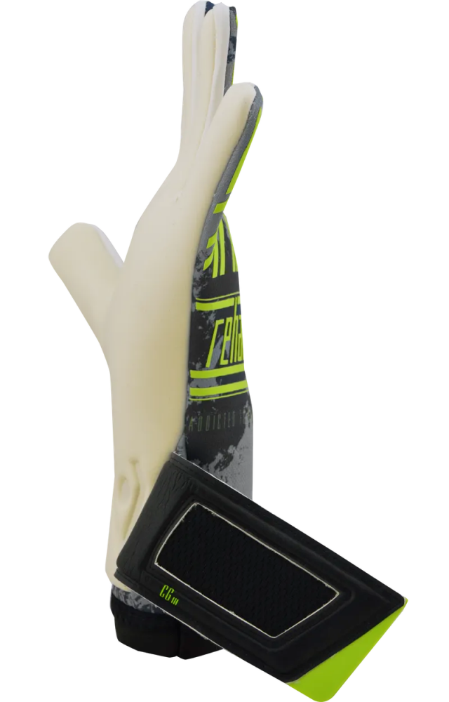 Rihab Tharim C G N C black RH glove