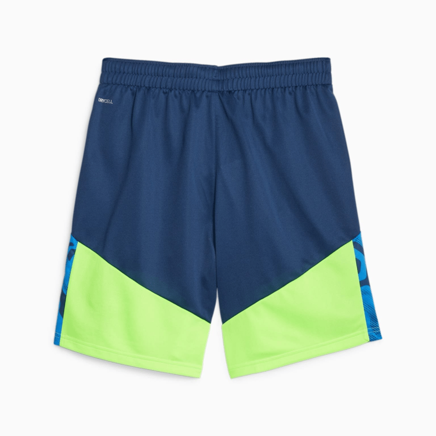Puma set blue wire