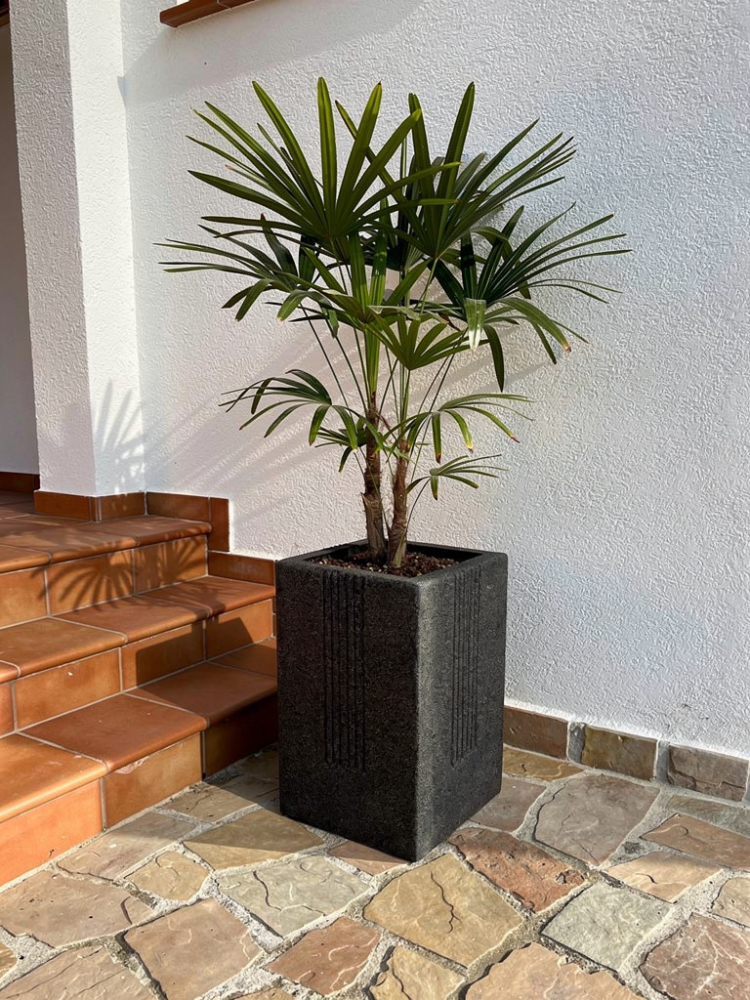 P34 planting basin (Color: Black)