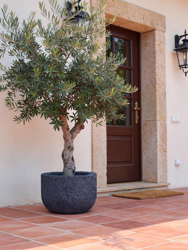 P15 planting basin (Color: Grey)