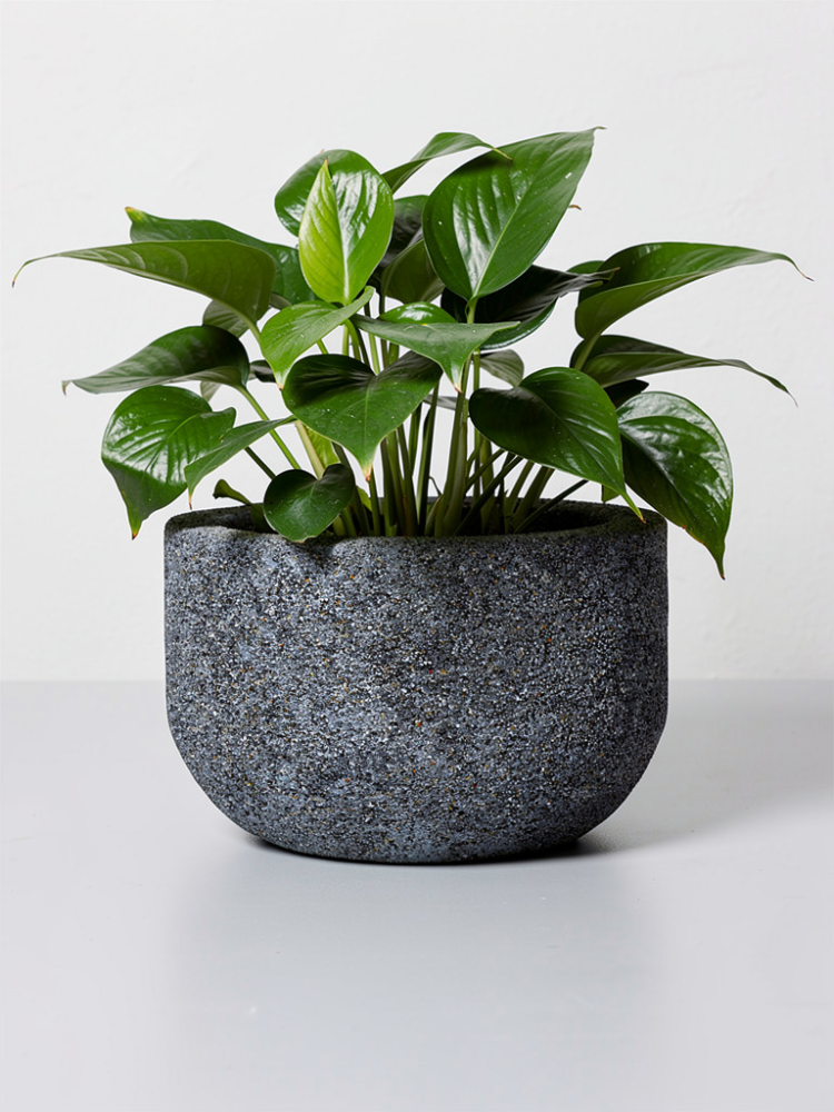 P15 planting basin (Color: Grey)