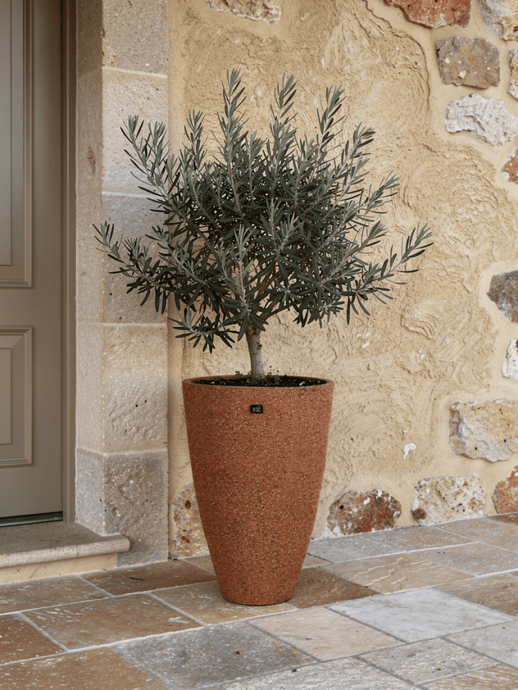P29 planting basin (Color: Camel)