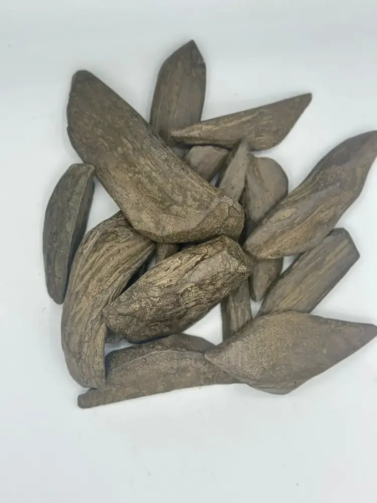 عود ab اسقون