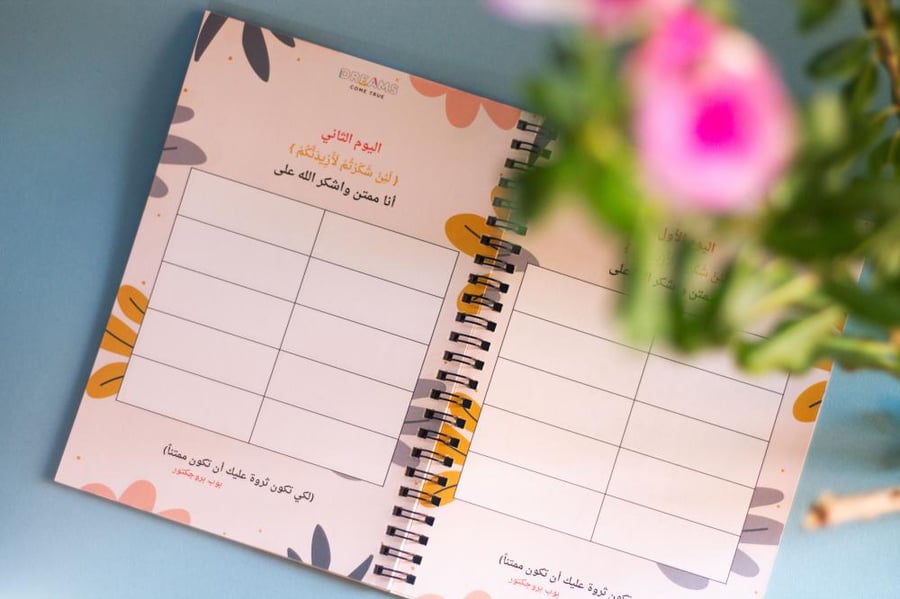 مفكرات