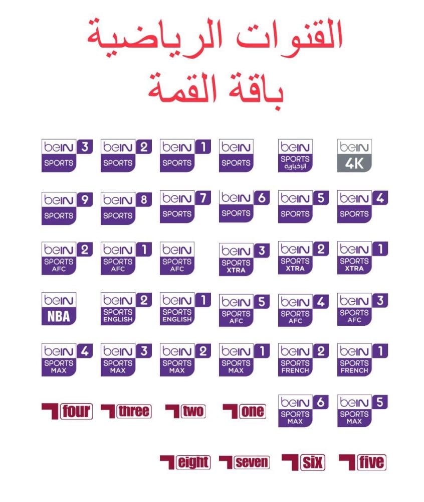 6 شهور مصري تميز ( تجديد اشتراك )