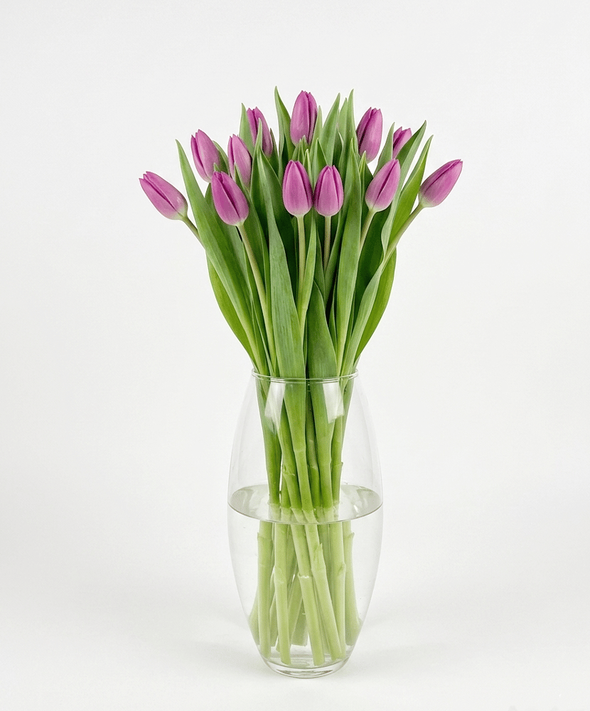 فازة توليب بنفسجي من AWE FLORAL