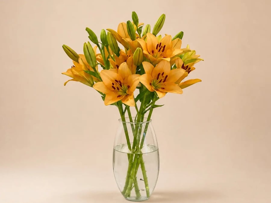 فازة ليليوم برتقالي من AWE FLORAL
