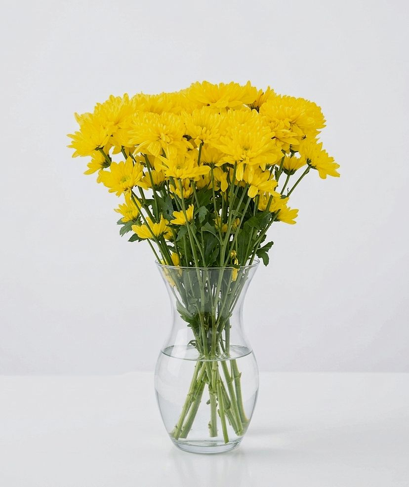 أقحوان أصفر من AWE FLORAL