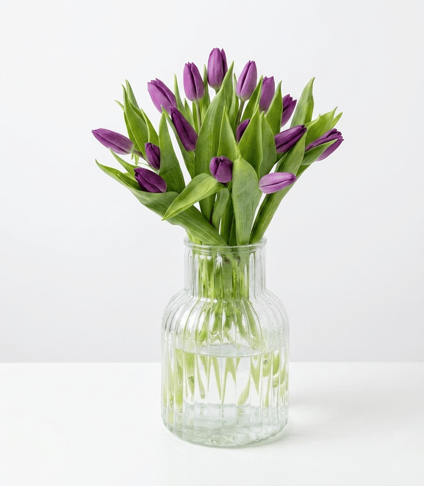 فازة توليب بنفسجي داكن من AWE FLORAL