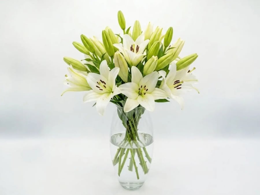 فازة زهور الليليوم البيضاء من AWE FLORAL
