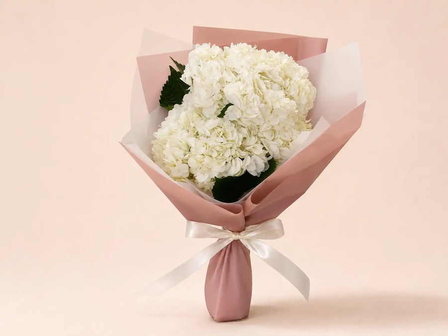 باقة هدرنجا ابيض من AWE FLORAL