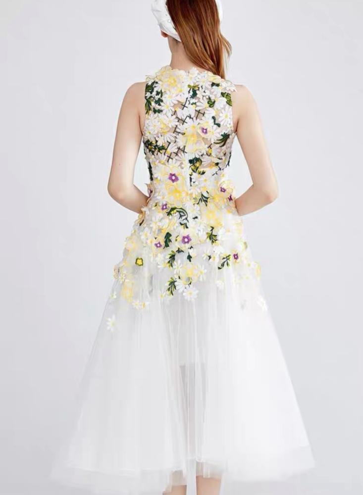 Lady dress