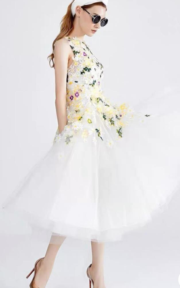 Lady dress