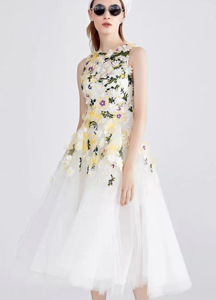 Lady dress
