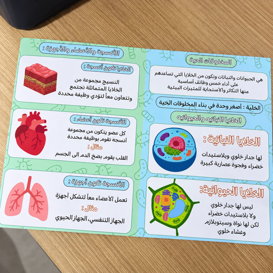 مطوية الخلايا Pdf - علوم - رابع إبتدائي - ترم اول