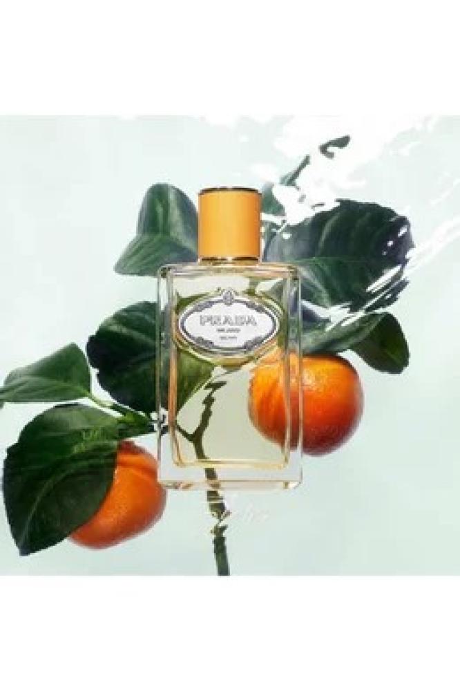 عطر برادا إنفيوجن دي فلور دورانجر Prada Infusion De Fleur D'oranger من برادا للنساء - او دو برفيوم  50مل