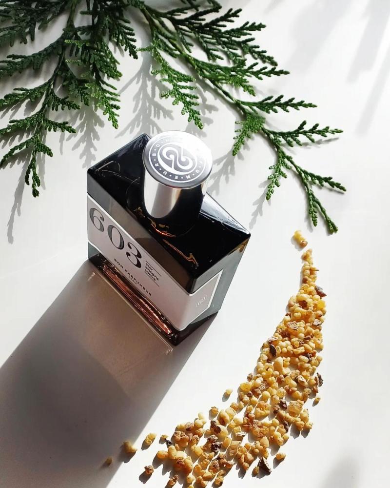 عطر بارفيوم 603 اودي بارفيوم 100مل
