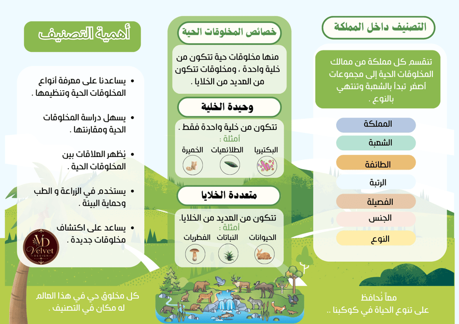 تصنيف المخلوقات الحية