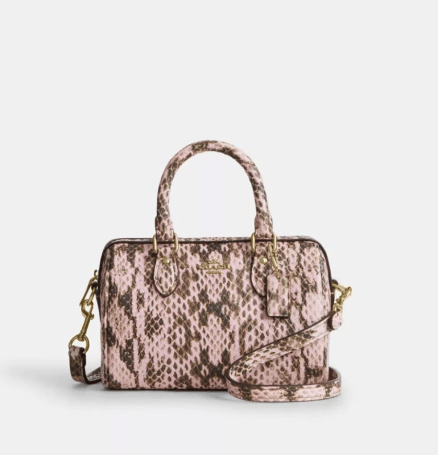 Coach نشطه