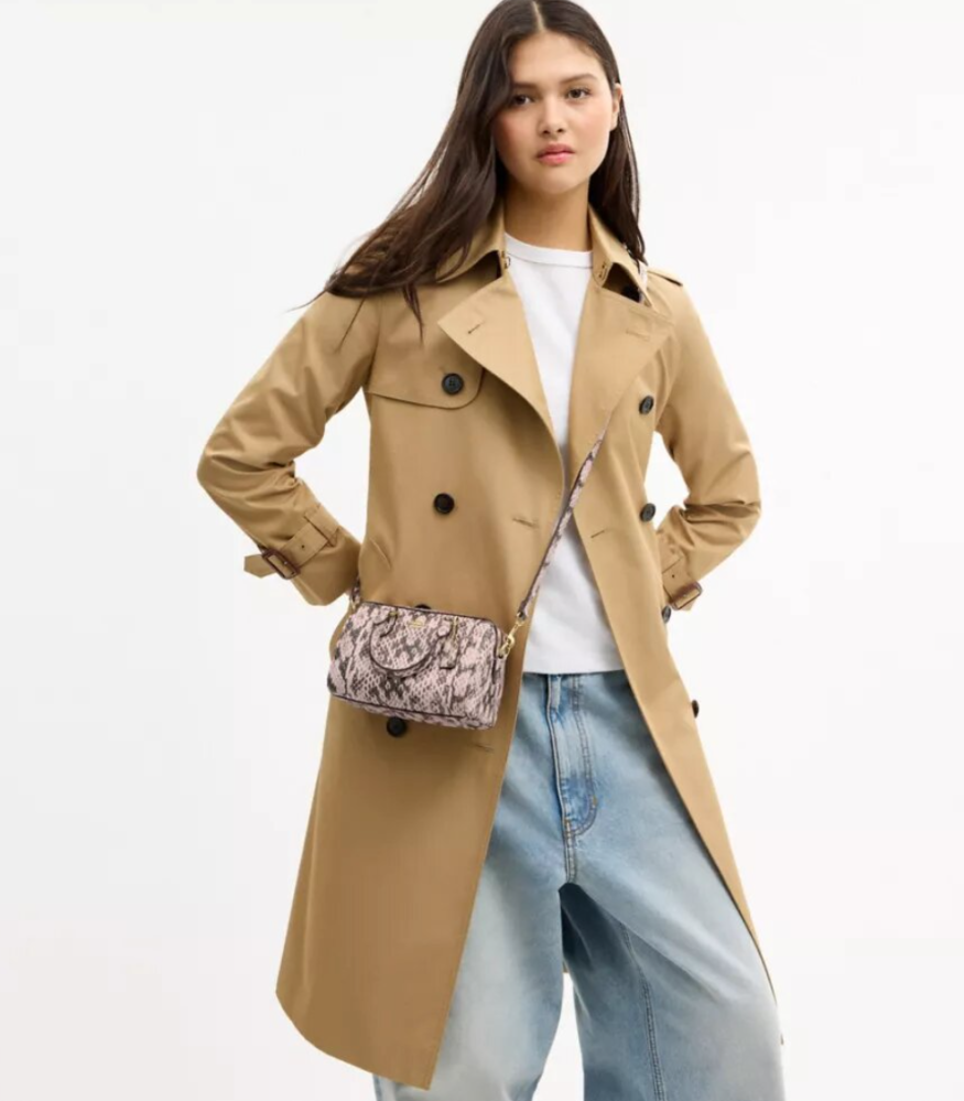 Coach نشطه