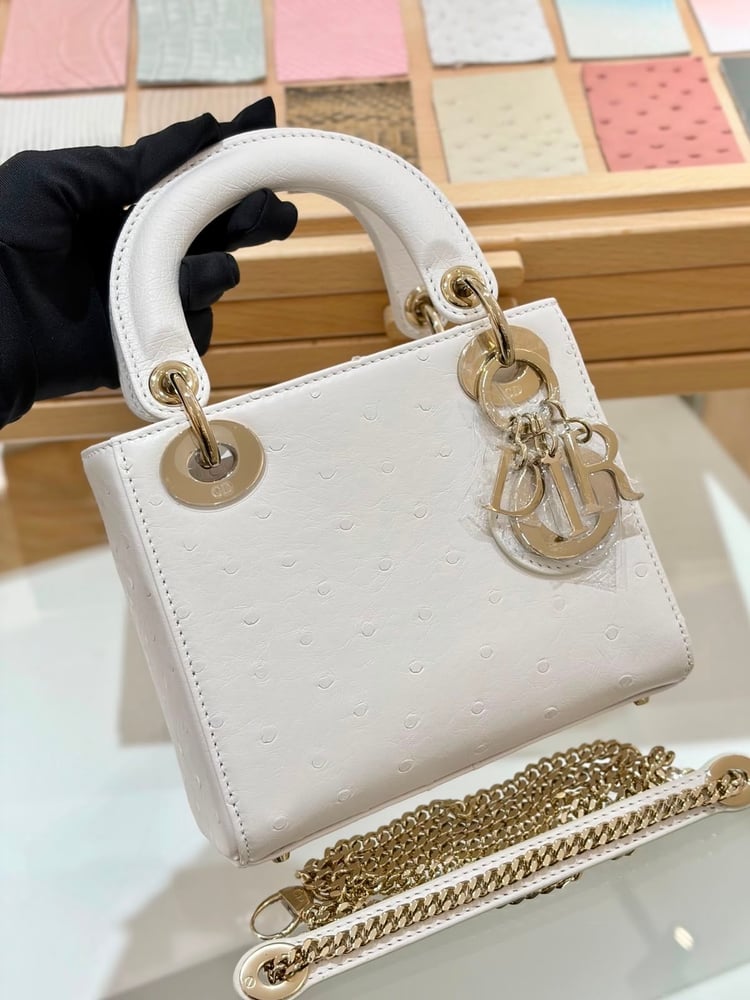 حقيبة "ديور" (Dior) ليدي ديور الفاخرة