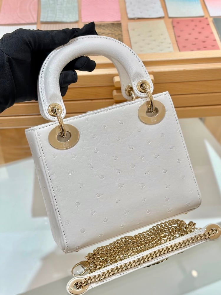 حقيبة "ديور" (Dior) ليدي ديور الفاخرة