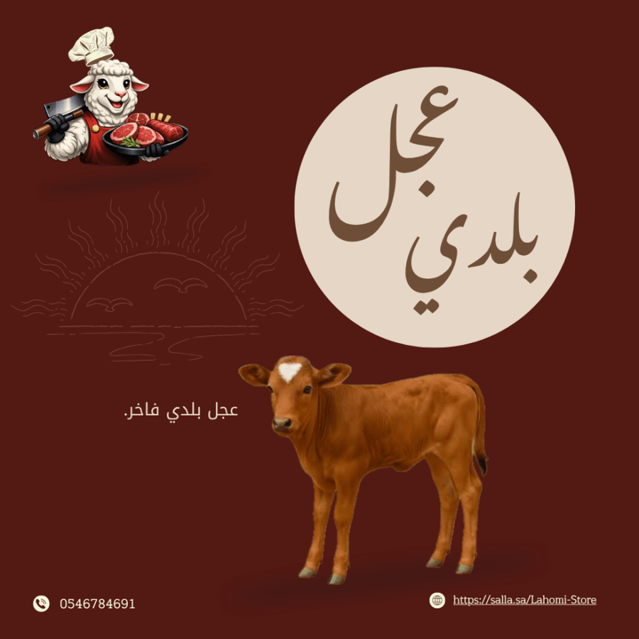عجل بلدي لباني.